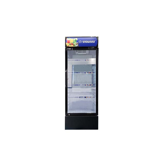 LC-400W Standing product display freezer