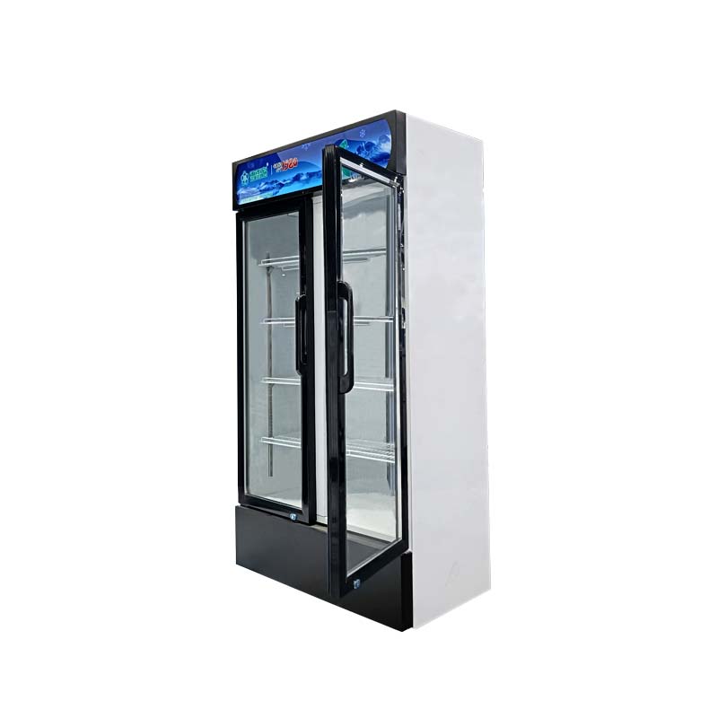 LC-650 Standing product display freezer