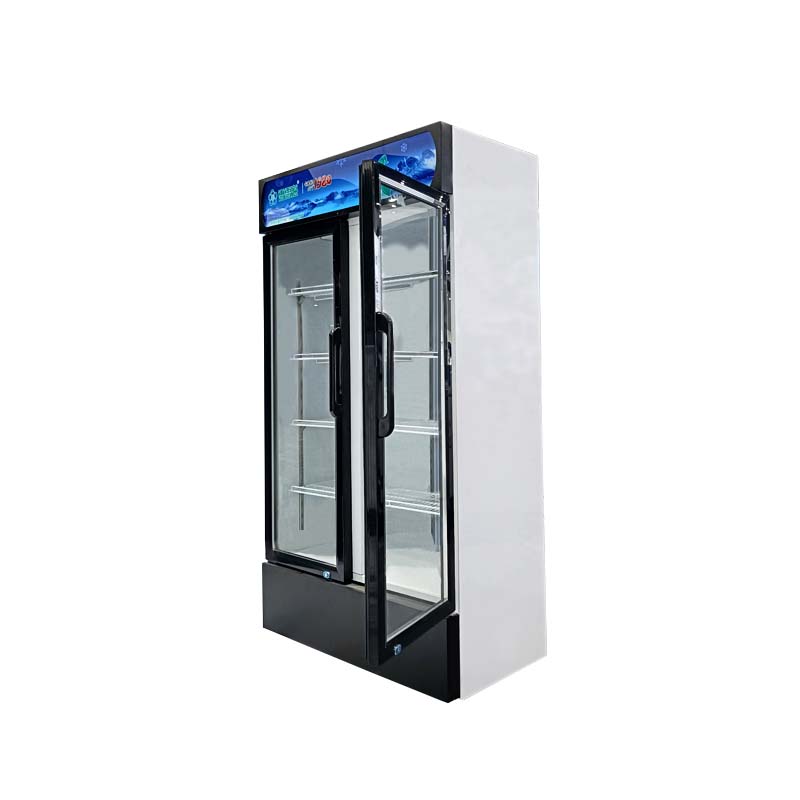 LC-650 Standing product display freezer