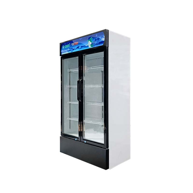 LC-650 Standing product display freezer